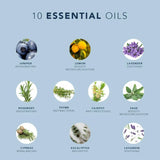 Phyto phytopolleine scalp fortifying balancing concentrate 30ml