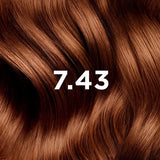 PhytoColor 7.43 Copper Golden Blonde - Complete set containing a 50ml revealing milk, coloring cream 50ml, Phytocolor Mask 12 ml, an information leaflet and a pair of gloves.